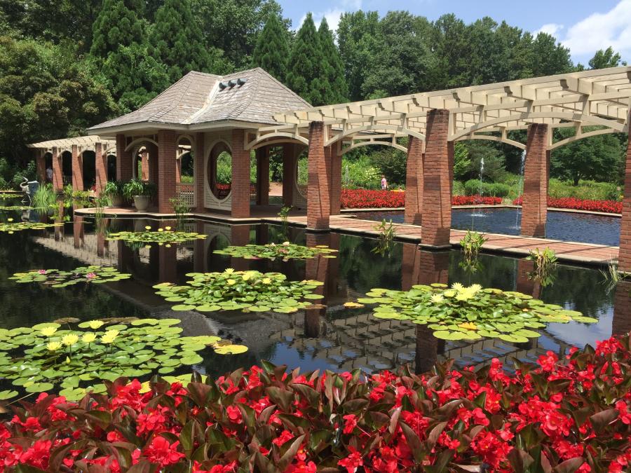 Explore the serene beauty of the Aquatic Garden at Huntsville Botanical Garden.