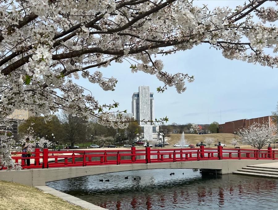 Discover the enchanting cherry blossoms and Red Friendship Bridge at Big Spring Park.